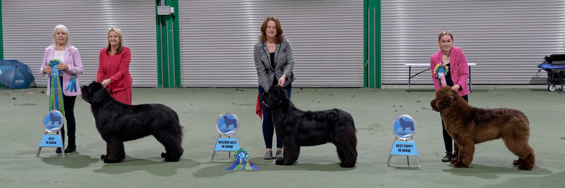 November 2024 Championship Show Best In Show winners with show judge