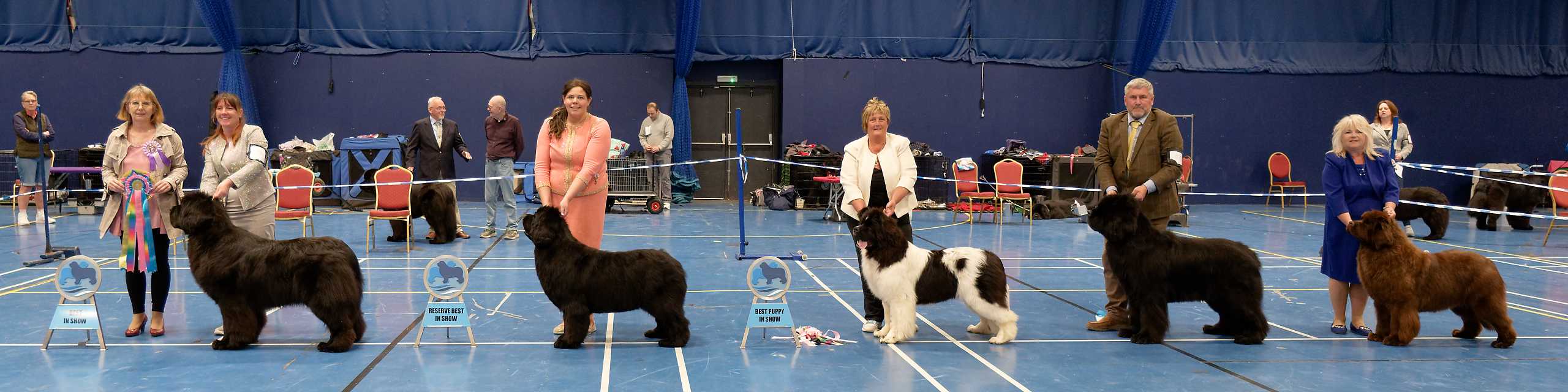 May 2025 Championship Show Best In Show winners with show judge