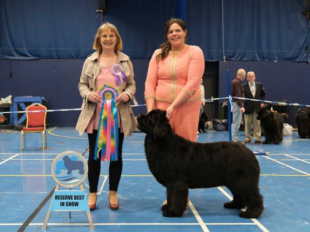 Reserve Best in Show