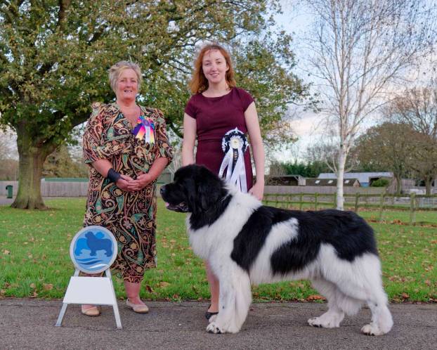 Best White & Black in Show