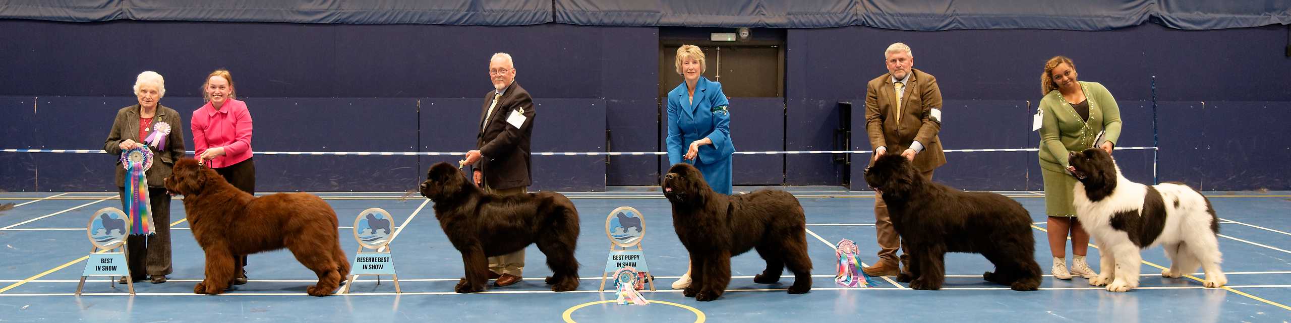 2025 Open Show Best In Show winners with show judge