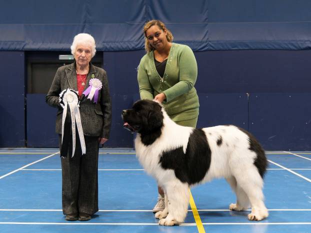 Best White & Black in Show
