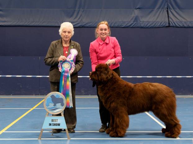 Best in Show