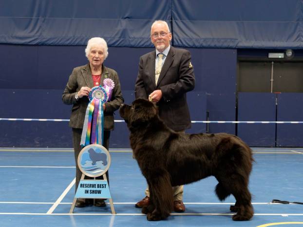 Reserve Best in Show