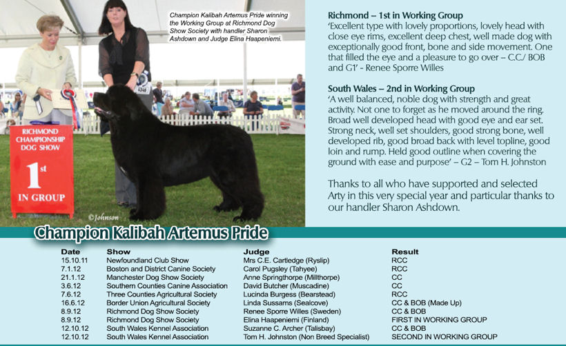 RICHMOND CHAMPIONSHIP DOG SHOW