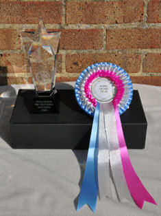 Top Winning Puppy trophy and rosette
