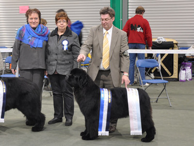 Best Puppy in Show & Reserve Best in Show