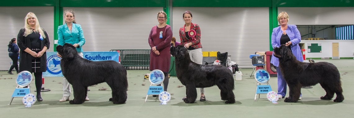 Best In Show winners with show judges