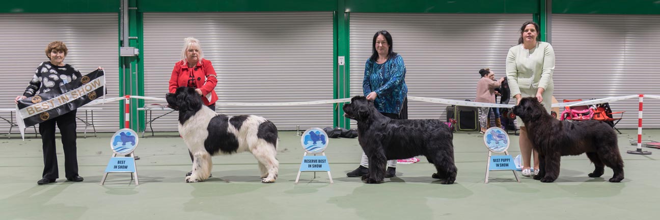 Winners at the Championship Show