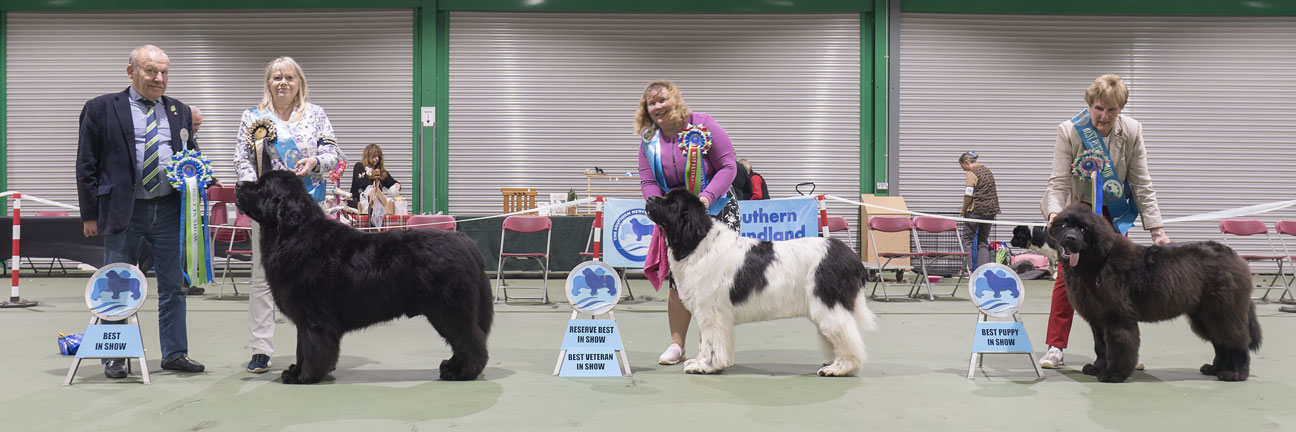 Best In Show winners with show judge