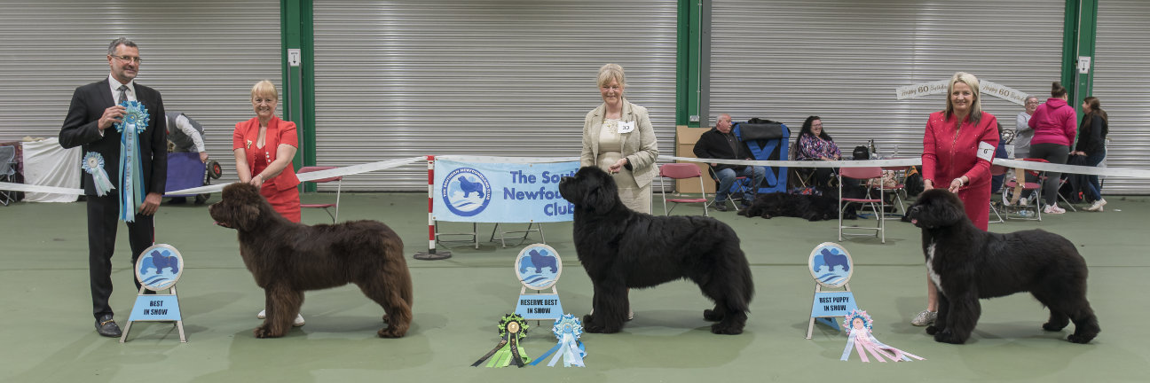 Best In Show winners with show judge