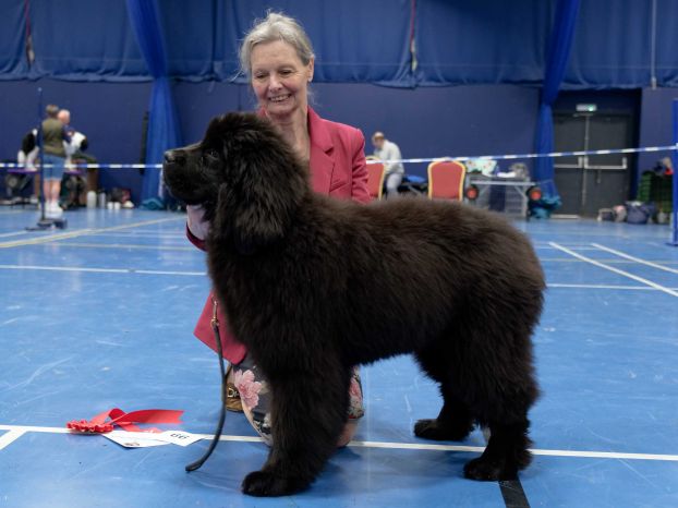 Winner of Baby Puppy Bitch