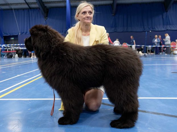 Winner of Baby Puppy Dog