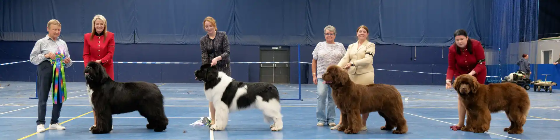 2026 Championship Show Best In Show winners with show judge