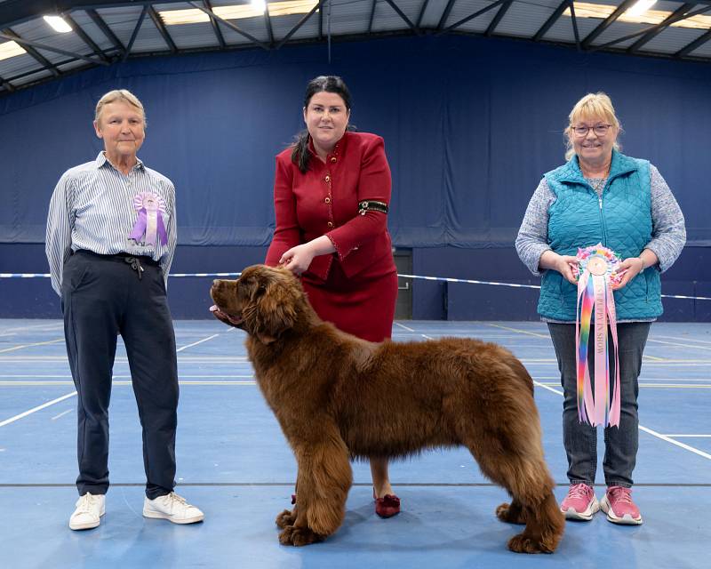 Best Puppy in Show