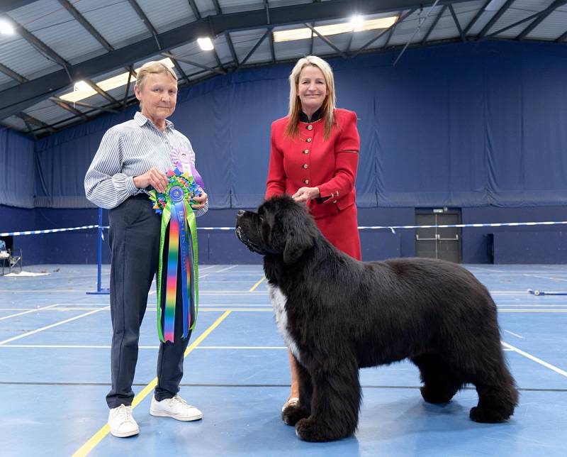 Best in Show