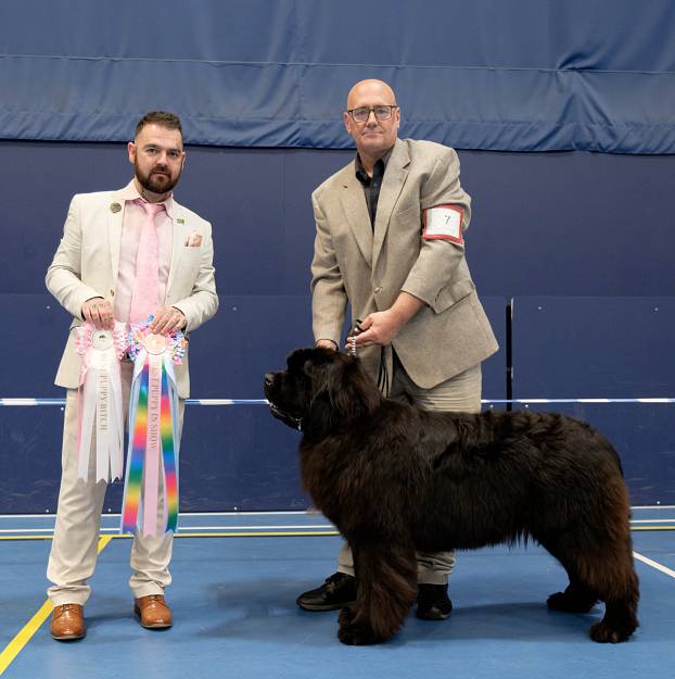Best Puppy in Show