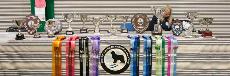 Southern Newfoundland Club Open Show trophies