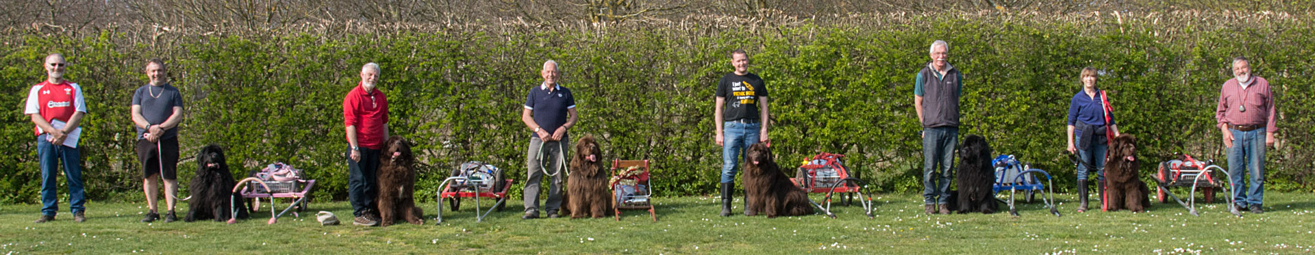 The six dogs with their handlers and carts who passed the Level 4 test